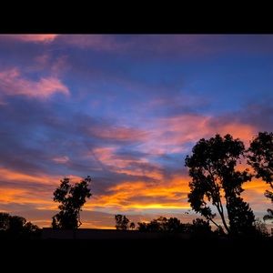 Meet your Posher, Arshoarsho